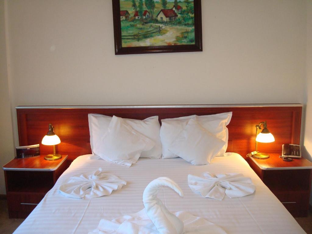 Hotel Ami Băile Felix الغرفة الصورة