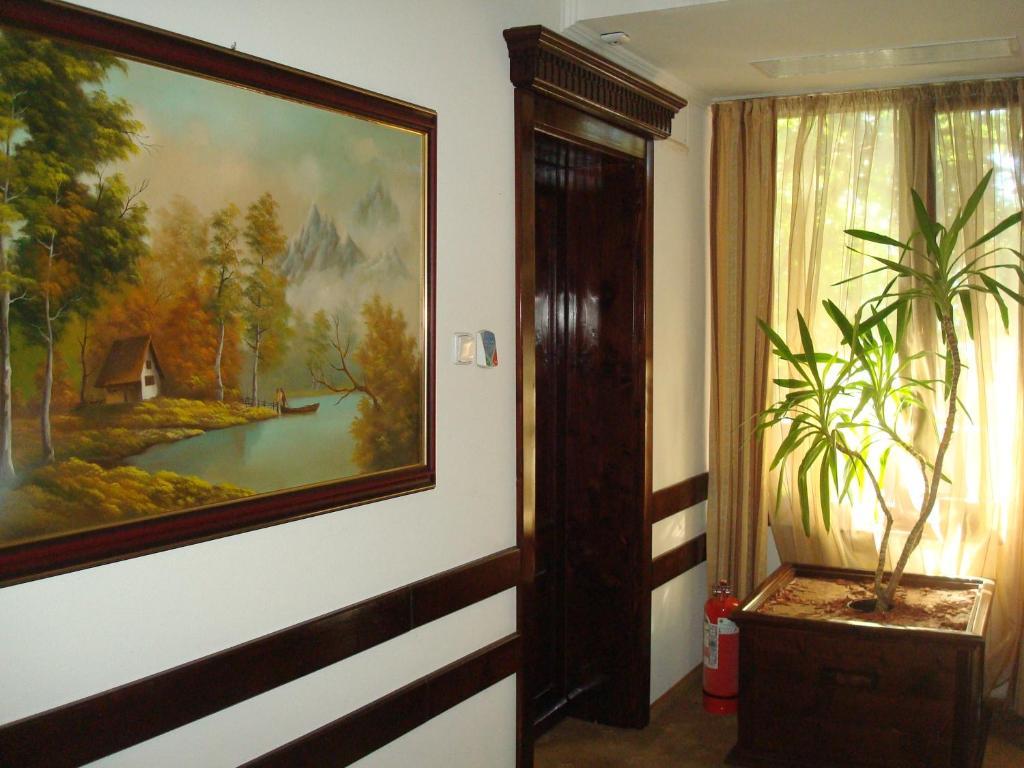 Hotel Ami Băile Felix المظهر الخارجي الصورة